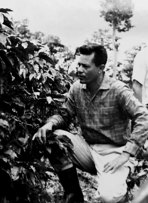 Founder Ignacio Arauz among his coffee plants