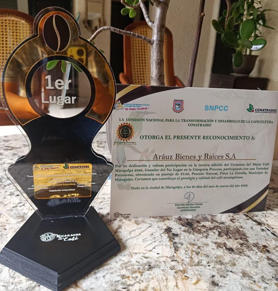 First place trophy, Best Coffee of Matagalpa 2026