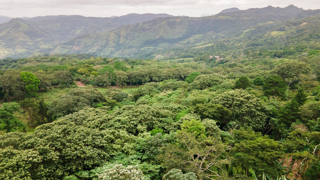 The La Estrella valley from above